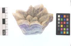 Foto von Quarz (Amethyst) (NHMW-MIN-Af978)